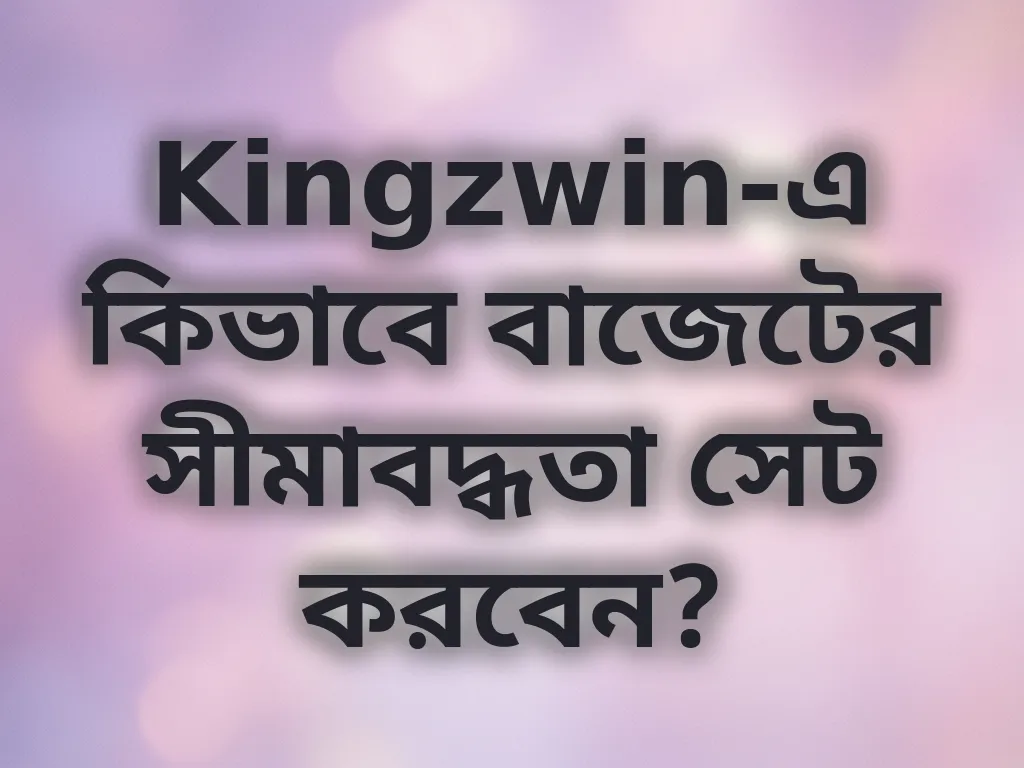 বাজেট সীমাবদ্ধতা সেটআপ